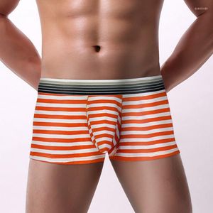 Underpants Open Pouch Men Underwear Striped Boxer Shorts Sexy Jockstrap Cotton For Man Low Rise Gay Male Boxers