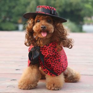 Dog Apparel Small Costume Pet Cape And Wig Hat Set Puppy Headwear Cloak Cosplay Clothes Accessories For Halloween Christmas Dress Up