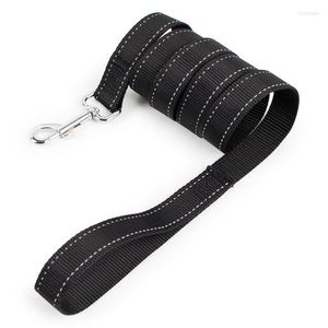 Dog Collars Reflective Harnesses Leads Leash Nylon Yorkshire Terrier Dogs Products Top Sellers Things Trainings Pet Accessories