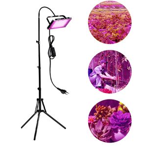 Full Spectrum LED Grow Light with Stand Phyto Lamp med switch för växthushydroponisk växthöjd Justerbar tillväxtbelysning