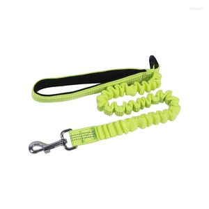 Dog Collars Pet Supplies Car Seat Elastic Traction Rope For Cat Leash Reflective Safety Small Medium Dogs