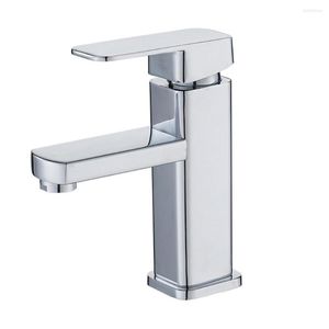 Rubinetti per lavandino del bagno Rubinetto per l'acqua Rubinetto per l'acqua in acciaio inossidabile 304 Argento Singolo lavabo da cucina freddo per il miglioramento della casa