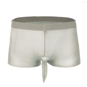 Cuecas Masculinas Meia-calça Aberta Fechada Bainha Cueca Meias Sexy Masculina Cueca Boxer Ultra Fina Sem Costura