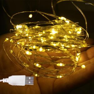 Corde 2pcs USB Led Stringa di filo di rame Luce leggiadramente Ghirlande Lampione da esterno per albero di Natale Giardino Decorazione di nozze fai da te