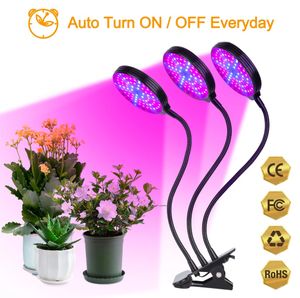 LED Full Spectrum Phytolamps USB Wzrost światło z timerem Control Desktop Clip lampy fito dla roślin sadzonki kwiaty uprawne