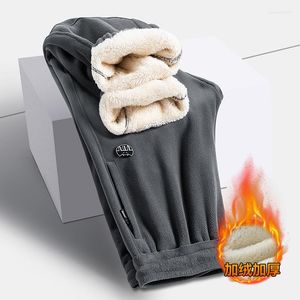 Men's Pants Super Thick Loose Sweatpants Men's Winter Wear Fleece Warm Corset Casual Double-sided