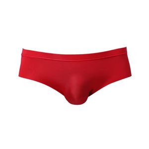 Underpants Mens Underwear European Size Pants Ultra-Thin Ice Silk Briefs Transparent Sexy Low Rise Panties Youth Solid Color