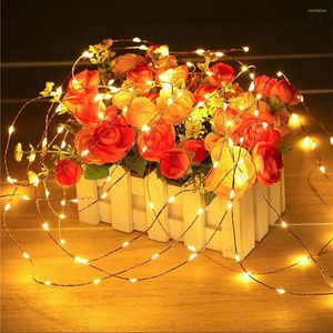 Strings LED Copper Wire String Lights Solar Ground Plug Lamp Holiday Party Decoration Lighting Outdoor Garden Landscape Yard