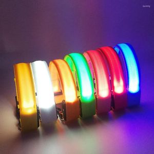 Collari per cani Collare luminoso LED lampeggiante lampeggiante Regolabile USB Ricaricabile Pet Safety Night Collo leggero anti-smarrimento