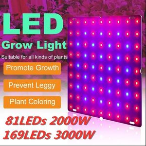 LED Grow Light 2000W 3000W 81 LEDs / 169 LEDs Phytolamp Full Spectrum 1 Mode Switch Veg Bloom Lâmpada de crescimento de plantas internas