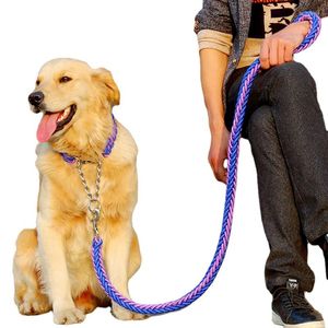 Hundehalsbänder Haustierleine Verstellbares Halsband-Set Mittleres und großes Metall-P-Kettenzubehör Großhandel Labrador Golden Retriever