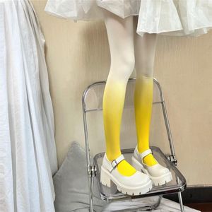Kadın Çorap Gradyan Külotlu çorap renk Mor pembe ipek çoraplar orta kalın Japon kadife asılı boyama yay ve sonbahar ince dip