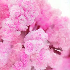 Dekorativa blommor Magic Growing Tree Paper Sakura Crystal Trees Desktop Cherry Blossom Toys est Artificial Decorations