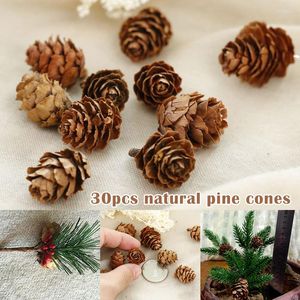 Dekorativa blommor Nature Pinecones Pine Cones Lodge Pole Fall Winter Holiday Home Decor Christmas Tree Ornament 30st Scie999