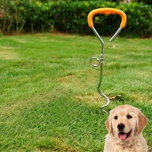 Collari per cani Filo di acciaio Palo fisso Ancoraggio portatile Guinzaglio per cani Animali domestici durevoli Corda di trazione Vite metallica Palo Forniture per unghie