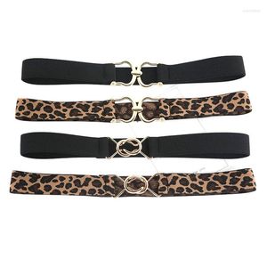 Belts Fashion Metal Buckle Cinch Belt For Women Sexy Leopard Elastic Stretch Cummerbunds Strap Corset Coat Dress Waistband Accessories