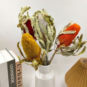 Decorative Flowers High Quality South African Imported Banksia Natural Dried European Style Decorations Red Yellow About 12cm Long Single