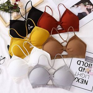 Completo da yoga 2023 Reggiseno sportivo filettato sexy Top fitness in puro cotone Cinturino traspirante Intimo imbottito Petto avvolgente