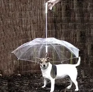 Hurtowe przezroczyste PE Pet Parasol Małe psy Parasolowy sprzęt deszczowy z psami prowadzi zwierzęta na sucho wygodne