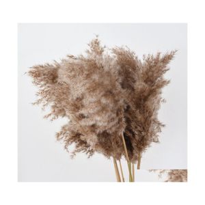 Fiori decorativi Ghirlande Centrotavola Decor Piante di canne essiccate naturali Mazzo di fiori per matrimoni Pampas Tableau Erba Decorazione Phrag Dhb3K