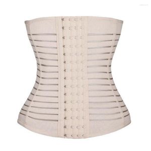 Women's Shapers Women Corset Waist Trainer Cincher Control Body Shaper Underbust Sport Belt Slimming 2 Colors M-3XL