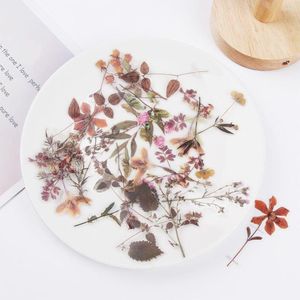 Geschenkpapier 40 Teile/satz Blumenaufkleber Ästhetische Botanische DIY Scrapbooking Schulaufkleber Handkonto Tagebuch Schreibwaren Dekor