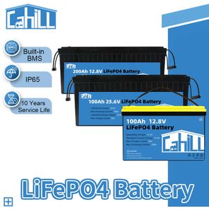 12V 200Ah LiFePO4 Battery Pack 24V 100Ah Grade A Lithium Iron Phosphate Solar Battery Built-in BMS For RV Vans Camper EV Storage