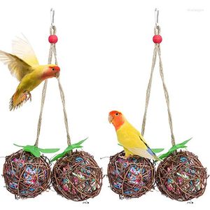 Andra fågelförsörjningar papegojor leksaker för och husdjur tillbehör cockatiel abborre budgie parakit bur dekoration jouet häll oiseau juguetes loro