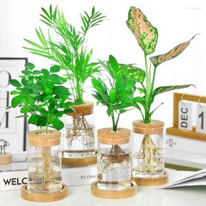 Vasos 1pcs Terrarium hidropônico Flor de planta elegante garrafa de vidro de madeira de madeira de cortiça de cortiça de escritório de carro decoração da sala de estar da sala de estar