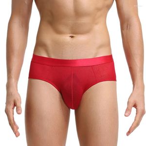 Underpants Red Panties Men Erotic Transparent Briefs Sissy Thin Sexy Male Lingerie For Sex Underwear Boys G-strings Porn Gays