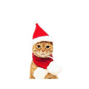 Hundkläder god jul söt liten plysch Santa hatt halsduk kläder xmas dekoration valp kattunge katt mössa happyår present husdjur suppli dh1cp