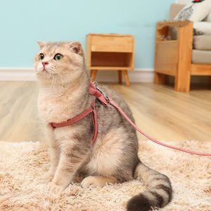 Katzenleinen, neue Katzenleinen, Outdoor-Reise-Haustier-Brust-Rückenleine für Pomeranian-Teddy-Haustiere, Seil