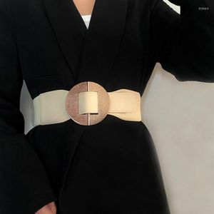 Cintos 2023 Fashion Belt Belt Feminino Elastic Sweater Terno Decoração de Decoração de Decoração do Vestido BEIGE NEGRO PARA MULHERO Corset