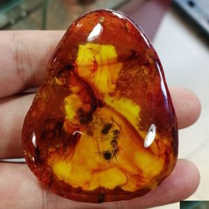 Pendant Necklaces Natural Bloods Insect Amber Random Shape Ant Ambers Original Stone Charms With Rope Chain Necklace Lucky Amet Gift Dhtfh