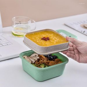 Akşam yemeği setleri çift katmanlı öğle yemeği kutusu Bento kutular taşınabilir piknik meyve konteyner çocuk çocuk öğrenci sevimli öğle yemeği mutfağı