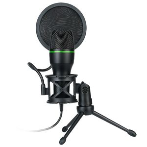 USB Microphone RGB led Lights Computer K Song Recording Mobile Phone Live Broadcast with shock mount and pop fliter ME4