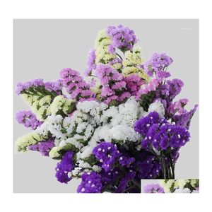 Dekoracyjne kwiaty wieńce 60 cm Kryształowa trawa naturalna świeżo wysuszona konserwowana zapomnij o nie prawdziwym kochanku gałąź do stolika domowego DH5EU