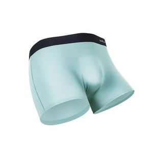 Underpants Men's Boxers Sexy Gay Underwear Seamless Panties For Man Shorts Homme Transparent Ice Silk Pouch Penis Male Plus Size