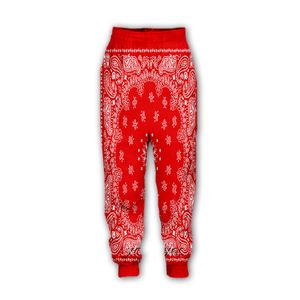 Hip Hop Sportwear Punk Casual Loose Men Cool Print Bandana 3D Pants 003