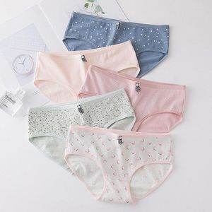 팬티 2023 Cotton 4pcs 십대 브리핑 인쇄 속옷 도트 소녀 속옷 키즈