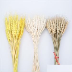 Decorative Flowers Wreaths 100Pcs/Lot Real Wheat Ear Flower Natural Dried For Wedding Home Party Decoration Diy Craft Scrapbook De Dhibz