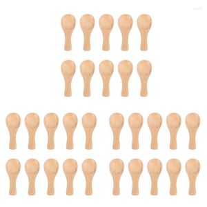 Dinnerware Define, alça curta 30 pacotes de pequena colher de madeira perfeita para potes temonos temperos de condimentos temperos