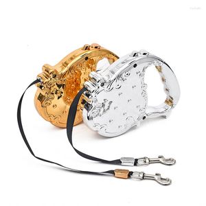 Dog Collars Luxury Luxury Leashes Pet Auto Lead Leash格納式フレキシブルデザイン良質ゴールド/スライバー色3m