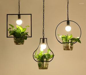 Pendant Lamps Modern Simple Black Painted Wrought Iron Square / Round Frame Chain Light With Clear Glass Cup (Green Plant Not Include)