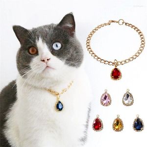 Dog Collars S-L Chic Crystal Pendant Pet Collar Fashion Holiday Party For Pets Gold Color Chain Cats Puppy Dogs Supplies Accessories