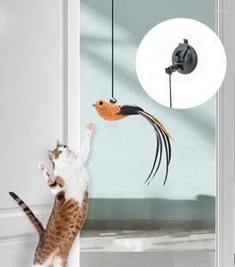 Cat Toys Simulation Bird Toy Infällbar hängande dörrtyp Scratch Rep Roligt självhjälte Interaktiva husdjursförsörjningar