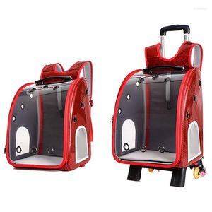 Capas de assento de carro de cachorro A bolsa transportando portador de viagens de mochila para gatos com rodas duplas com rodas duplas