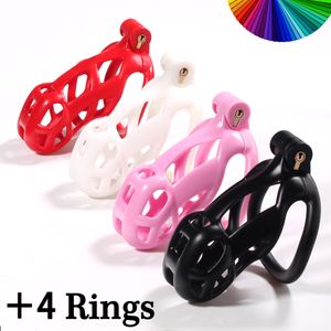 Cockrings gebogene männliche Kobra Chastity Device Kit Sex Spielzeug für Männer Hahn Käfig Penis Ring Plastik Heiliger Trainer BDSM Erwachsene Spiele Shop 230113