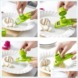 Utensili da cucina Plastica e acciaio inossidabile Macinino manuale Piccolo zenzero pressato aglio purè di patate Cucina Consegna a domicilio Gar Dhpz2