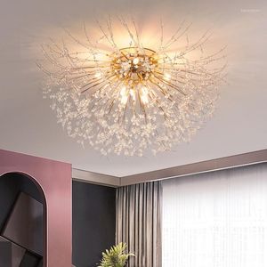 Plafoniere Crystal Dandelion Light Soggiorno Camera da letto Decorazioni per la casa Illuminazione per interni Corridoio Lampada a staffa Apparecchi di illuminazione